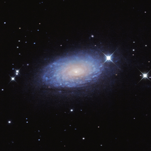 M63