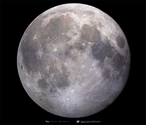 Stargazing Nights - Full Beaver Moon