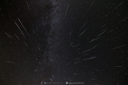 Summer Stargazing Nights - Perseid Meteor Shower