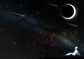 Summer Stargazing Nights - Seafood Festival