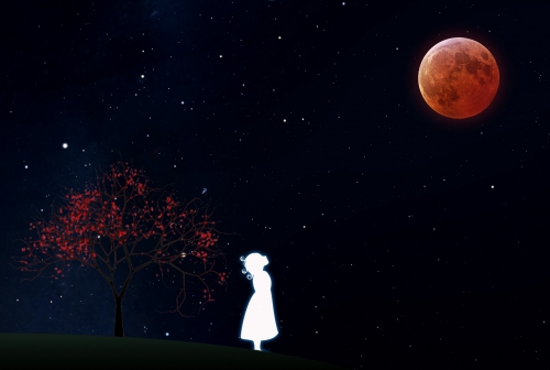 Under the Crimson Moon - Total Lunar Eclipse