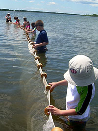 Children using the seine net in the salt pond.