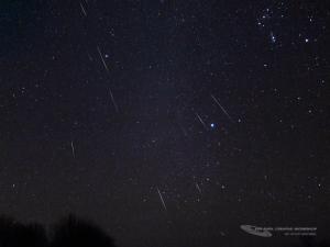 A fantastic composite of many Geminid meteors passing through Canis Minor and Canis Major.<br />Photograph by: Scott MacNeill