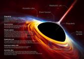 Anatomy of a Black Hole's Accretion Disk