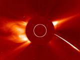 Kreutz Sungrazer Comet Enters Solar Corona