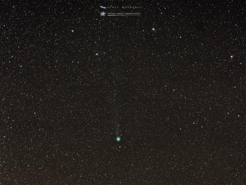 Comet C/2014 Q2 Lovejoy at Frosty Drew Observatory on December 26th