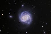 Messier 100 - A Spiral Galaxy