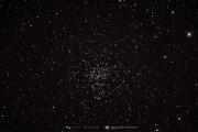 Messier 37 Open Star Cluster