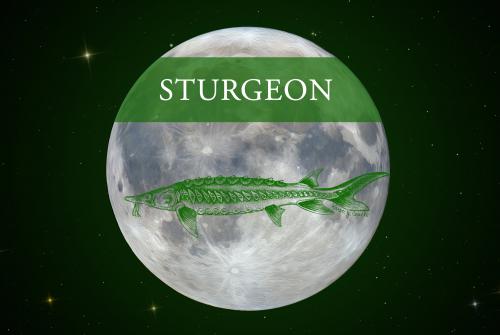 The Full Sturgeon Moon of August occurs on Friday, August 28, 2026.