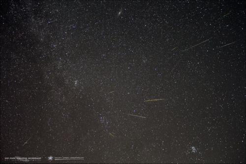 The 2013 Perseid Meteor Radiant Point at Frosty Drew Observatory