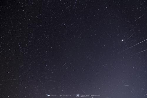 <p>This is a composite of 11 meteors captured during the 2016 Quadrantid Meteor Shower. Though hampered by the 28% waning crescent Moon, this years Quadrantids were fabulous! I counted 92 meteors over Frosty Drew. The 25º temps were significantly warmer than past Quadrantids, which usually drop into the single digits.</p><p>-Scott</p>