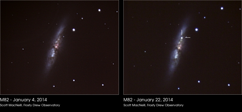 Supernova 2014J in the Cigar Galaxy
