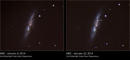 Supernova 2014J in the Cigar Galaxy