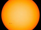 Sunspot Group AR 2781