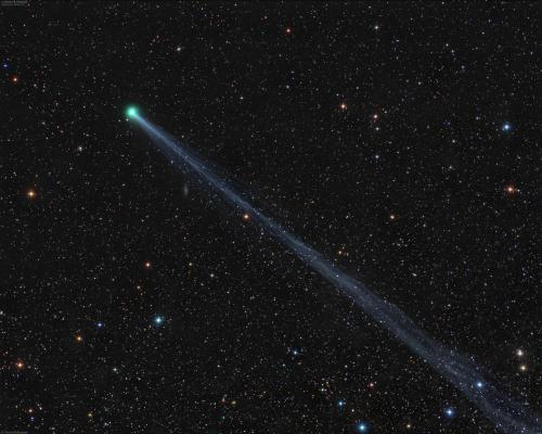 Comet C/2020 F8 SWAN on May 2, 2020 by <a href='http://www.damianpeach.com/' title='Damien Peach' target='new'>Damien Peach</a>