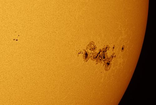 Sunspot group AR 3664 on May 11, 2024. Image credit: Frosty Drew Astronomy Team member, Scott MacNeill