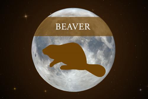 The Full Beaver Moon of November occurs today!