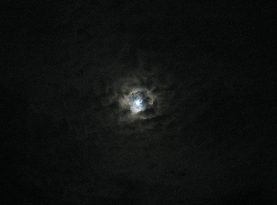 The Beaver Moon - November's Full Moon