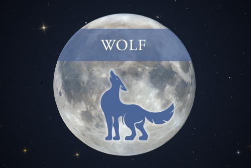 The full Moon of January is called the Full Wolf Moon.