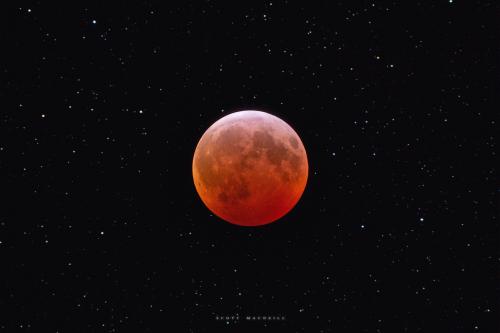 The Total Wolf Moon Eclipse of January 2019 at Frosty Drew Observatory. Image credit: Scott MacNeill