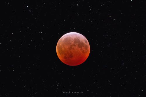 The maximum eclipse stage of the January 2019 total lunar eclipse. Image credit: Frosty Drew Astronomy Team member Scott MacNeill