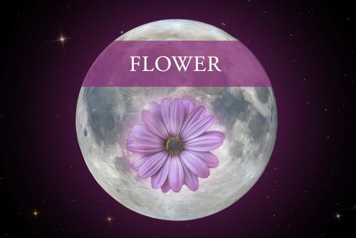 The Full Flower Moon occurs at 1:25 pm ET on May 1, 2026 (May Day)