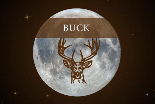 The July Full Moon is the Full Buck Moon