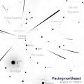 Perseid Meteor Shower Radiant Point