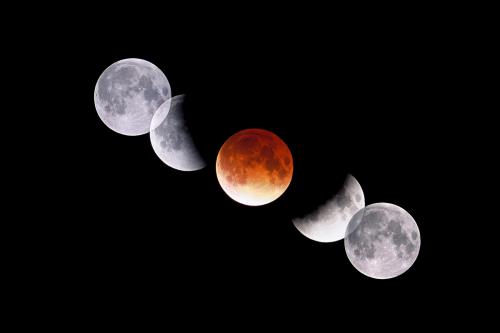 A five hour time-lapse of the November 8, 2003 total lunar eclipse on a single frame of film. Image Credit: Robert Horton