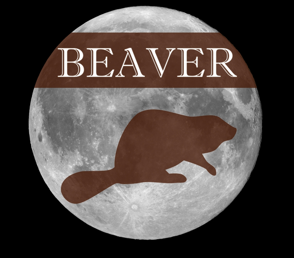 The November Beaver Moon