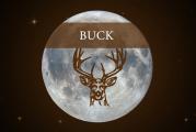 The Full Buck Moon