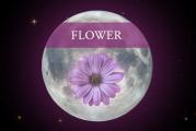 Full Flower Moon of May