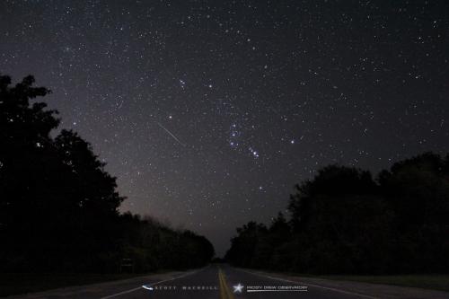 The constellation Orion rising over Ninigret Park