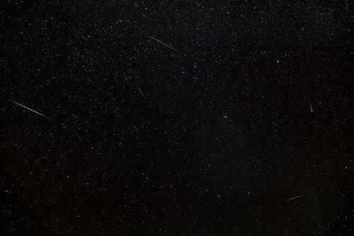 The radiant point of the annual Leonid meteor shower. Note that most of the meteors in this photo are not Leonid meteors. Credit: Frosty Drew Astronomy Team member, Scott MacNeill, captured this image at Frosty Drew Observatory.