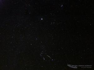 Orionid Meteors. Photograph by Scott MacNeill